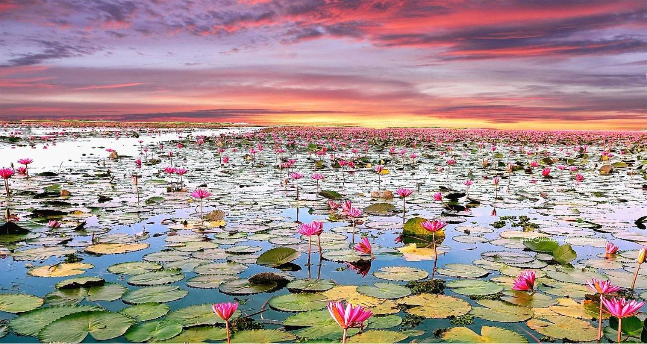 Bua Daeng Homestay Resort Kumphawapi エクステリア 写真